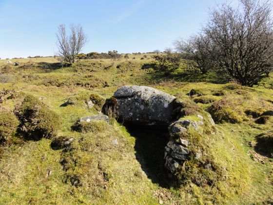 On the Moor archive photograph: Craddock Moor 002