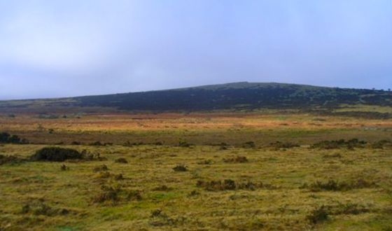 On the Moor archive photograph: East Moor 005